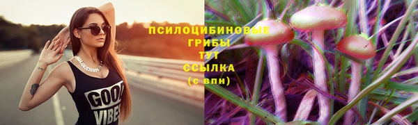 амф Богданович