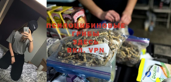 амф Богданович
