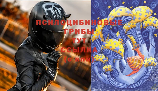 амф Богданович
