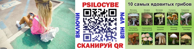 Галлюциногенные грибы Cubensis  Назарово 